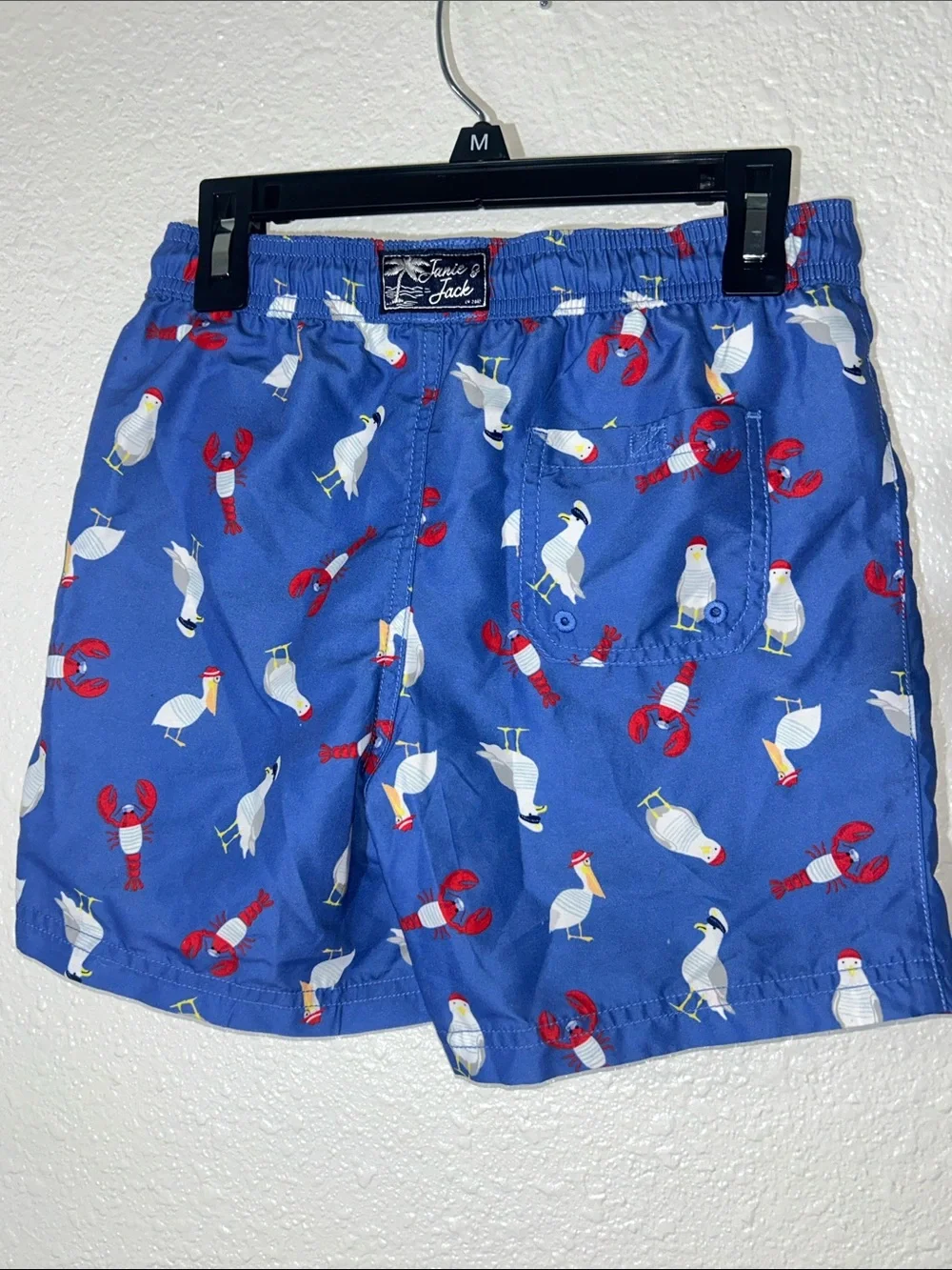 Boy’s Jamie and Jack Blue Seagull & Lobster Swim Shorts
